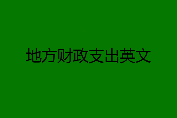 地方财政支出英文