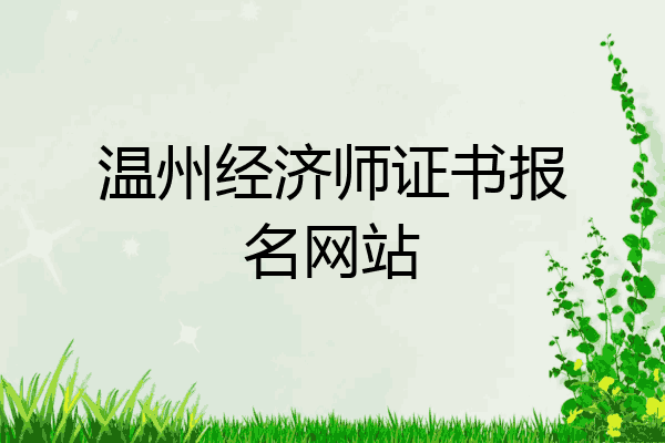 温州经济师证书报名网站