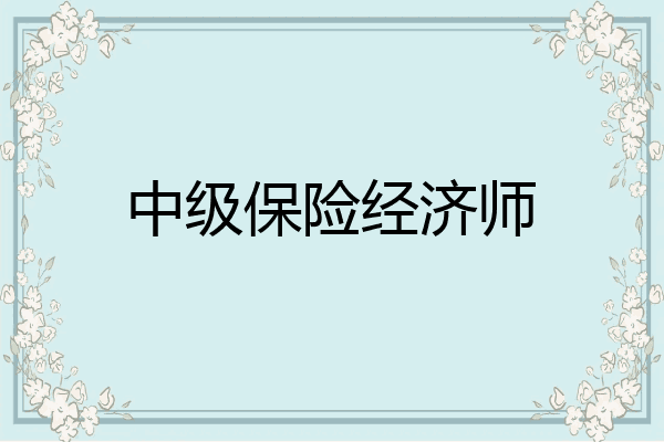 中级保险经济师