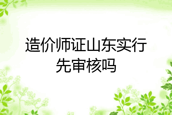 造价师证山东实行先审核吗