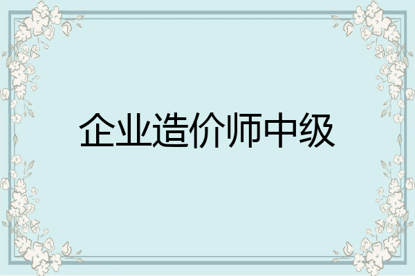 企业造价师中级