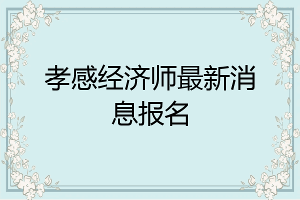 孝感经济师最新消息报名
