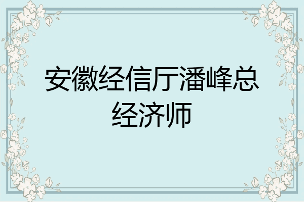 安徽经信厅潘峰总经济师