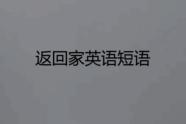 返回家英语短语