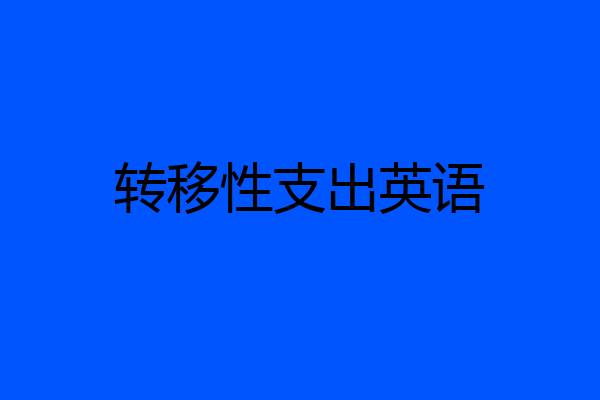 转移性支出英语