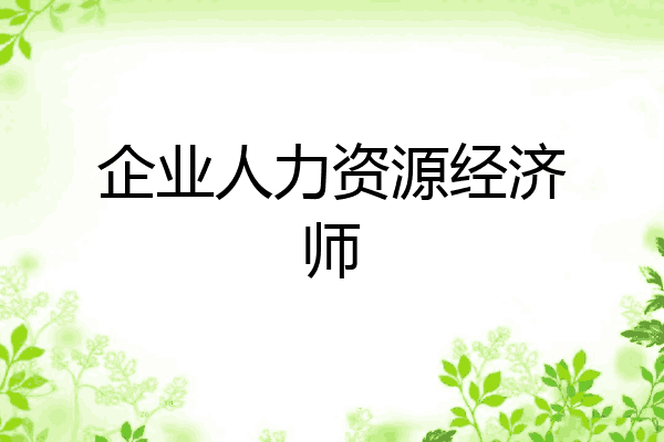 企业人力资源经济师