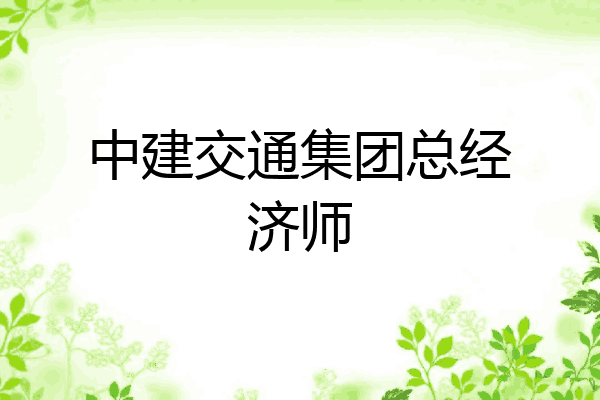 中建交通集团总经济师