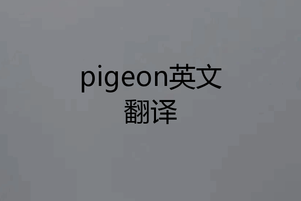 pigeon英文翻译