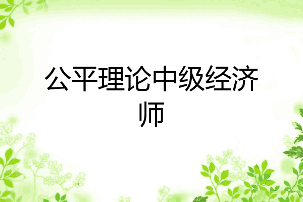 公平理论中级经济师