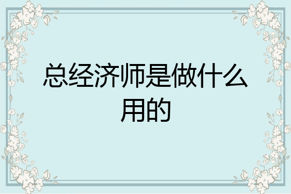 总经济师是做什么用的