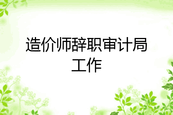 造价师辞职审计局工作