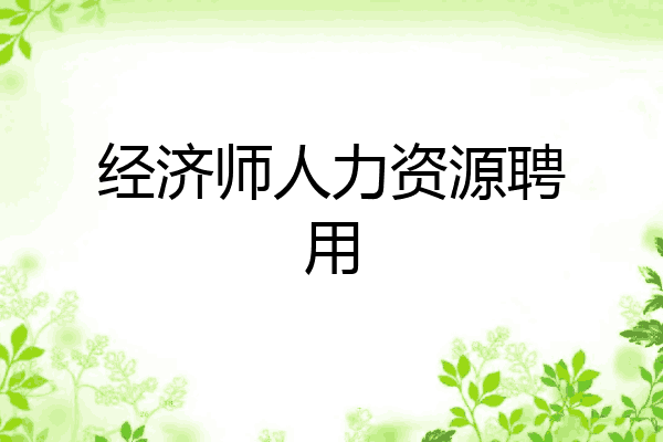 经济师人力资源聘用