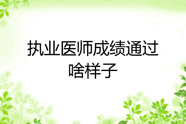 执业医师成绩通过啥样子
