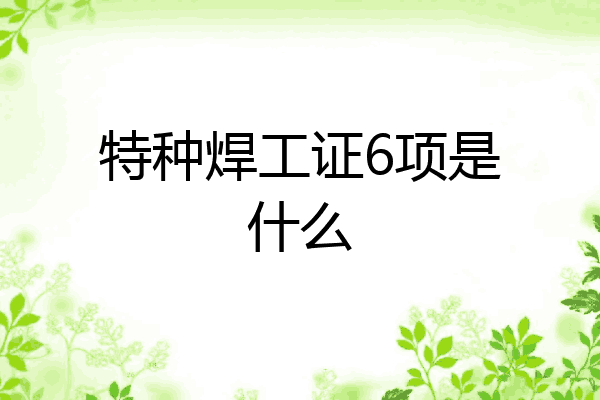 特种焊工证6项是什么