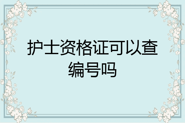 护士资格证可以查编号吗