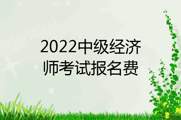 2022中级经济师考试报名费
