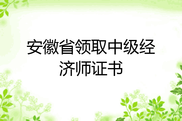 安徽省领取中级经济师证书