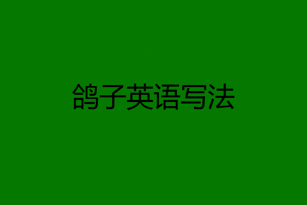 鸽子英语写法