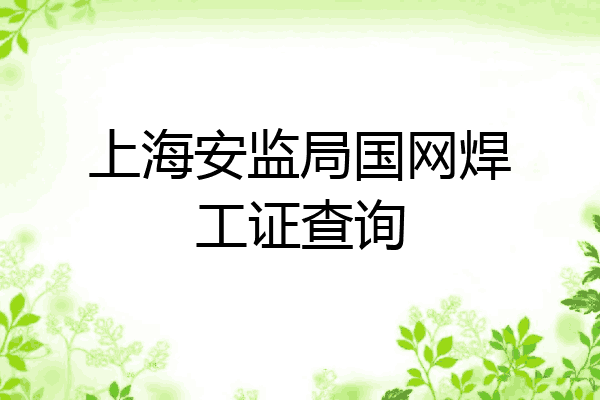 上海安监局国网焊工证查询