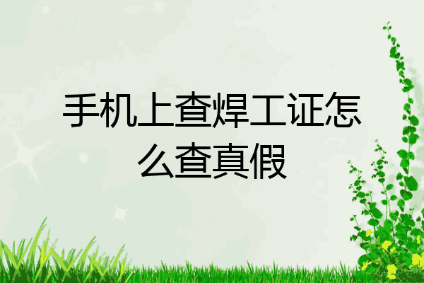 手机上查焊工证怎么查真假