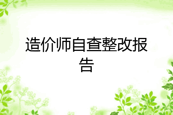 造价师自查整改报告