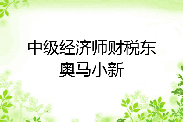 中级经济师财税东奥马小新