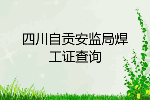 四川自贡安监局焊工证查询