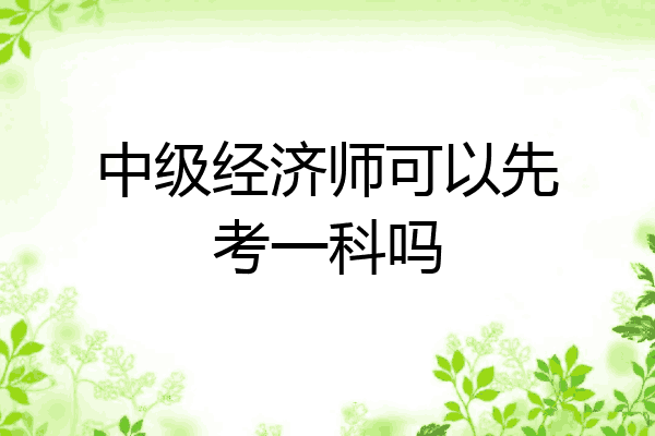 中级经济师可以先考一科吗