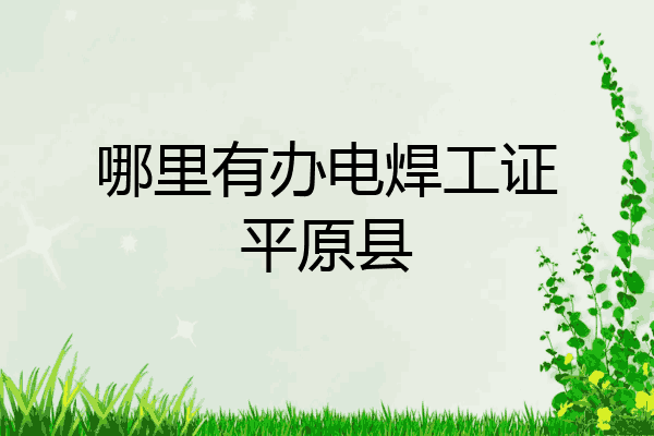 哪里有办电焊工证平原县