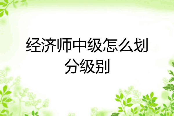 经济师中级怎么划分级别