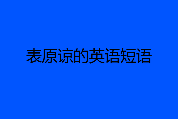 表原谅的英语短语