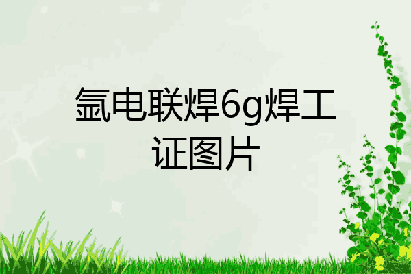 氩电联焊6g焊工证图片