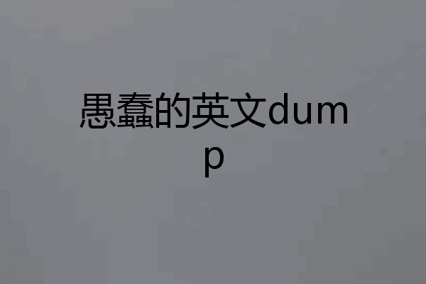 愚蠢的英文dump
