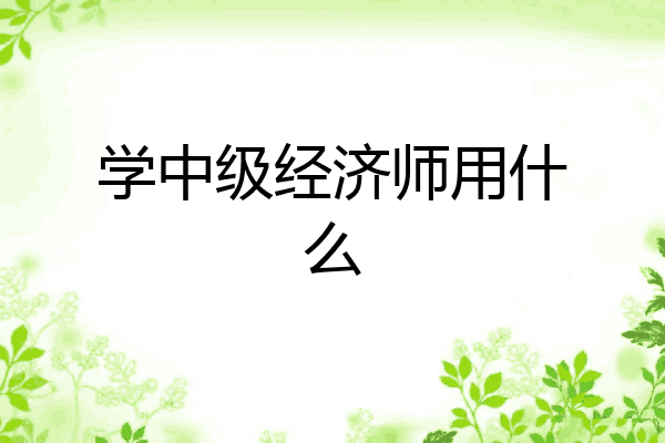 学中级经济师用什么