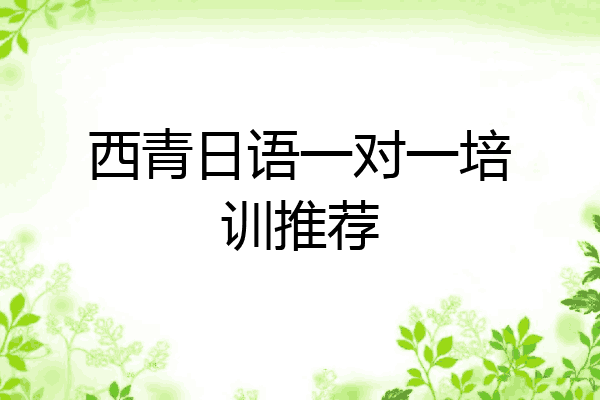 西青日语一对一培训推荐