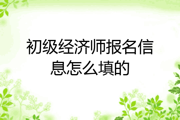 初级经济师报名信息怎么填的