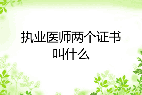 执业医师两个证书叫什么