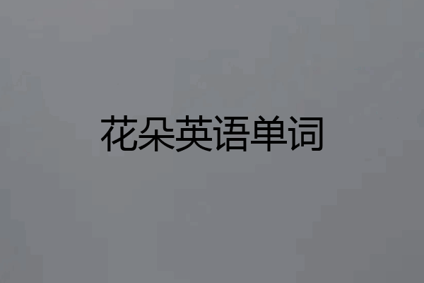 花朵英语单词