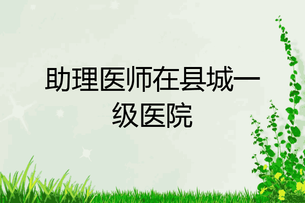 助理医师在县城一级医院