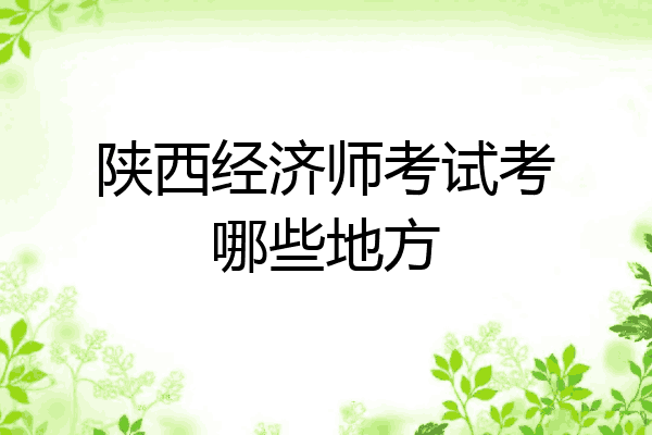 陕西经济师考试考哪些地方