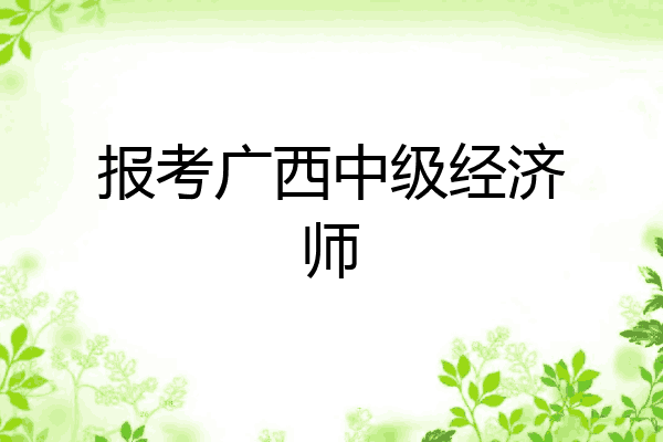 报考广西中级经济师