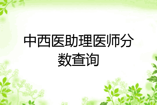 中西医助理医师分数查询