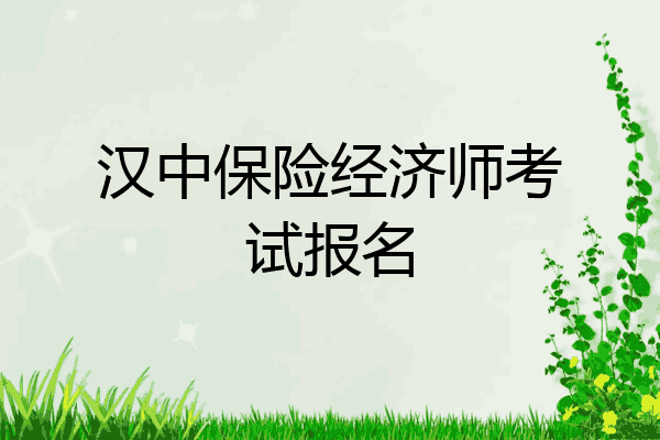 汉中保险经济师考试报名