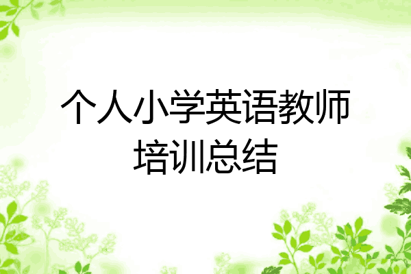 个人小学英语教师培训总结