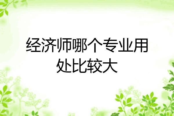 经济师哪个专业用处比较大
