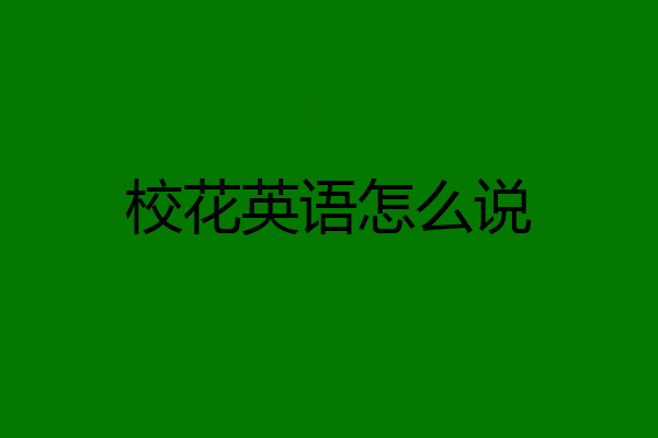 校花英语怎么说
