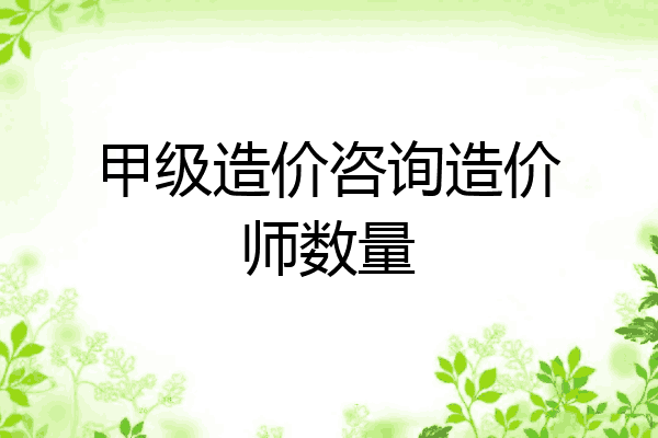 甲级造价咨询造价师数量