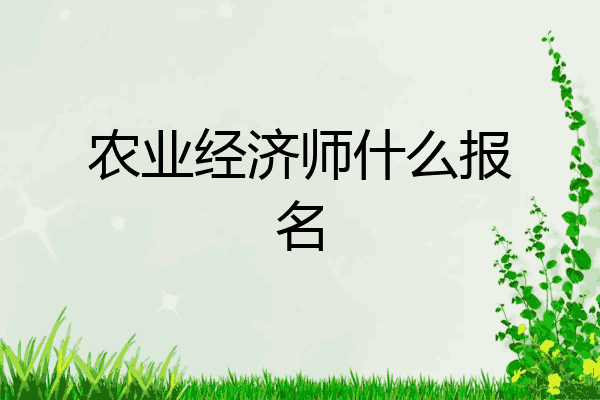农业经济师什么报名