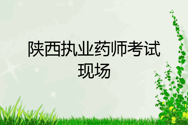 陕西执业药师考试现场