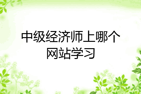 中级经济师上哪个网站学习